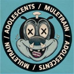 The Adolescents : Adolescents - Muletrain